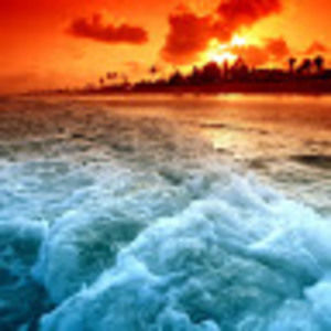 Meet your Posher, Evan